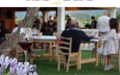 Cantina Mizzon: L’eccellenza del vino nella Valpolicella